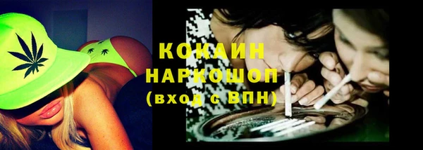 МДПВ Нефтегорск