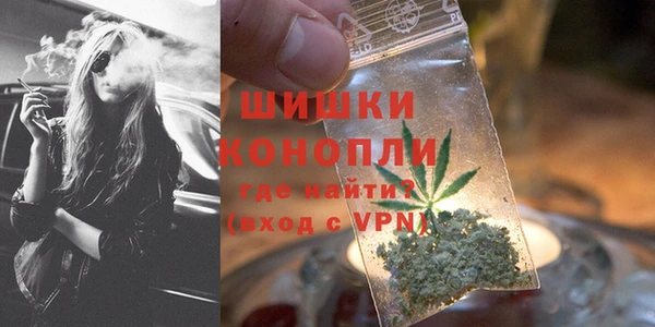 МДПВ Нефтегорск