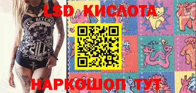 бошки Дубна