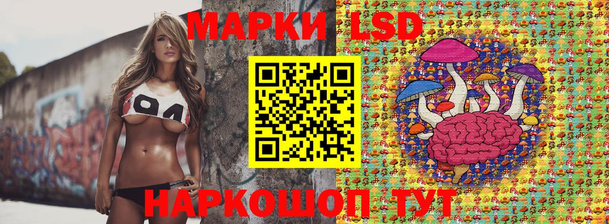 Псилоцибиновые грибы Надым