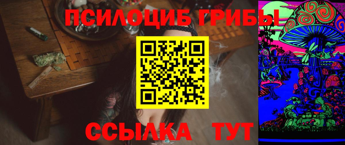 Галлюциногенные грибы Psilocybe  Надым  Галлюциногенные грибы Psilocybine cubensis 